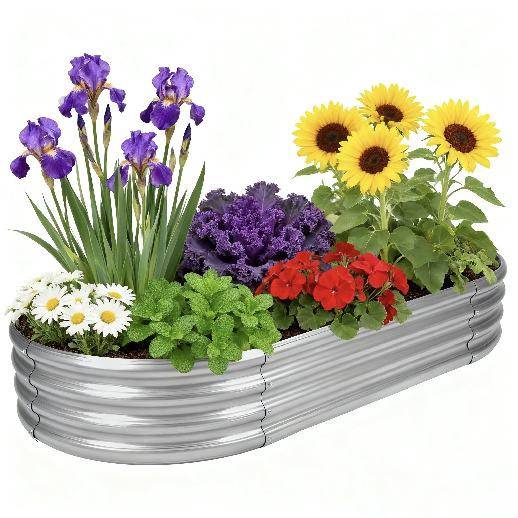 Bluebala 5ft Oval Metal Raised Garden Bed – Heavy-Duty Galvanized Planter Box, Rot-Resistant for Vegetables & More