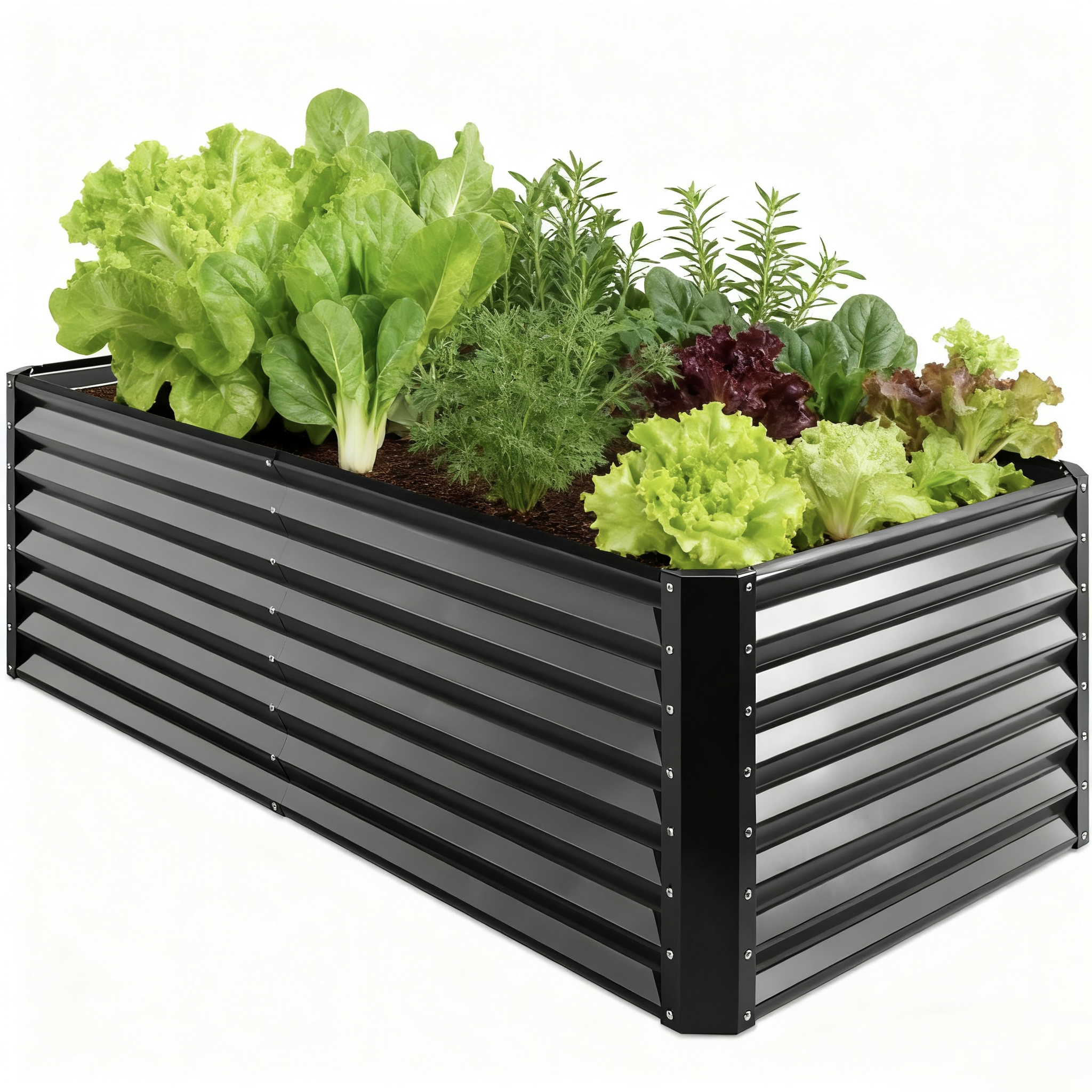 Bluebala Outdoor Raised Garden Bed, Large 6x3x2ft Metal Planter Box (269 Gallons) for Deep Root Vegetables, Flowers, Herbs & Succulents